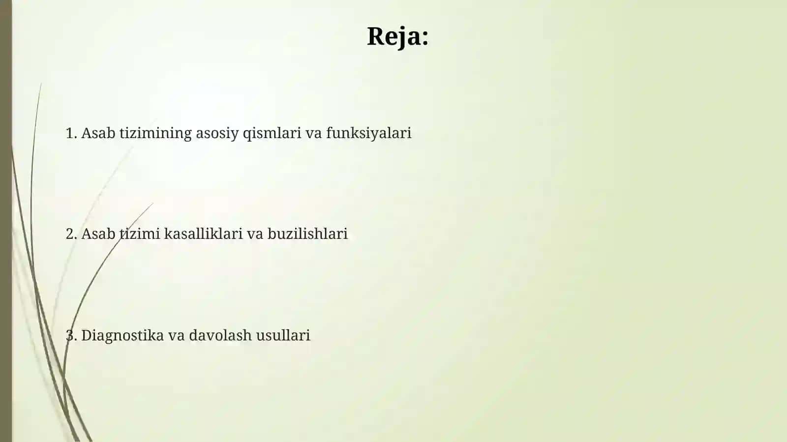 Nervsistemasi 2