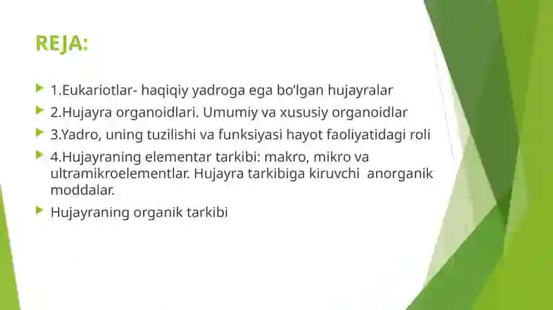 Eukariotlar-haqiqiyya d roga egabo’lgan hujayralar 2