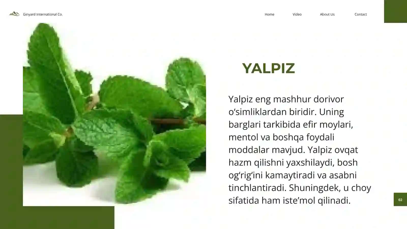 O’zbekistonda uchraydigan o’simliklar 2