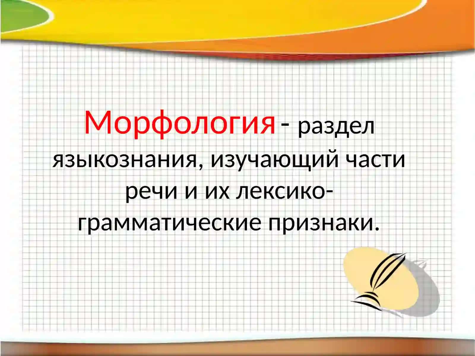 Морфология 2