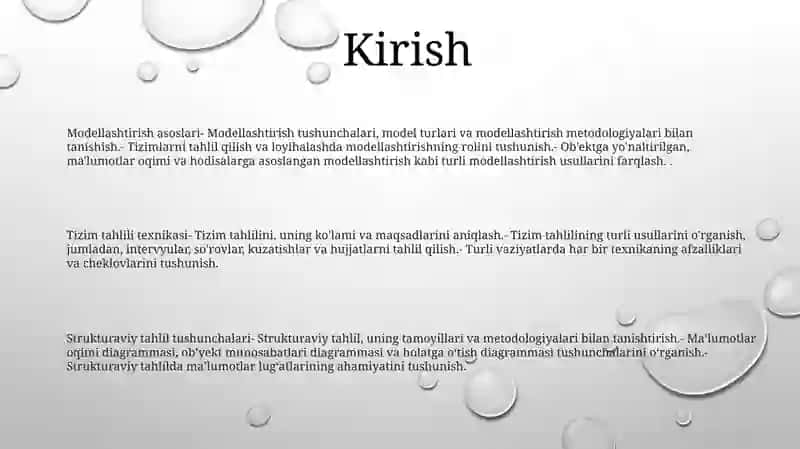 Modellashtirish Va Tizimli Tahlil BoʻYicha BoshlangʻIch MaʼLumotlar 2