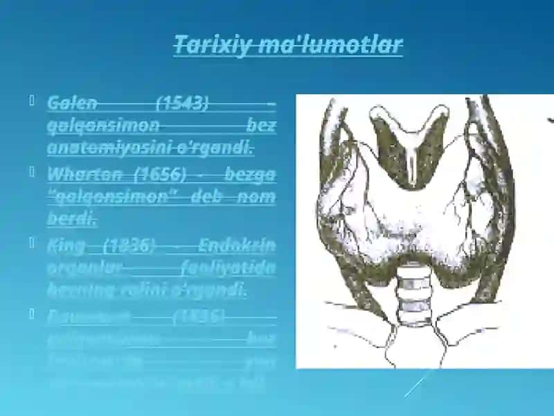 QALQONSIMON BEZ KASALLIKLARI 2