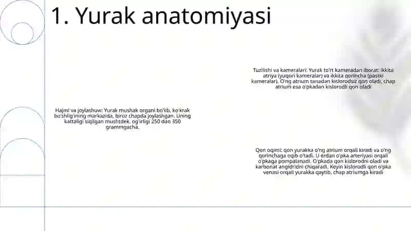 Yurak 2