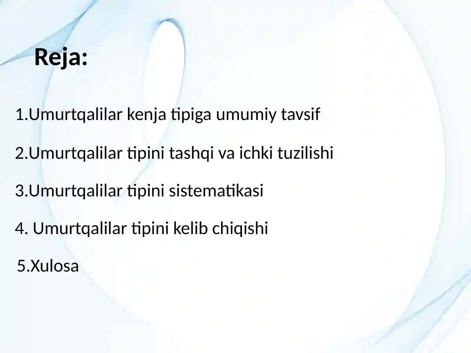 Umurtqalilar kenjatipi 2