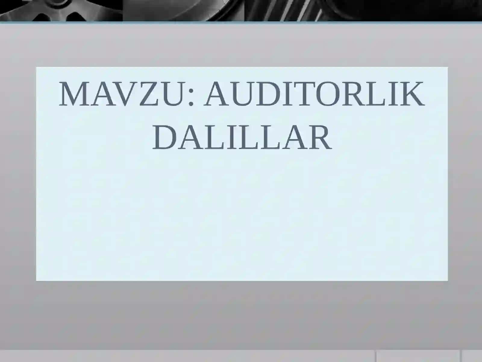 AUDITORLIK DALILLAR 2