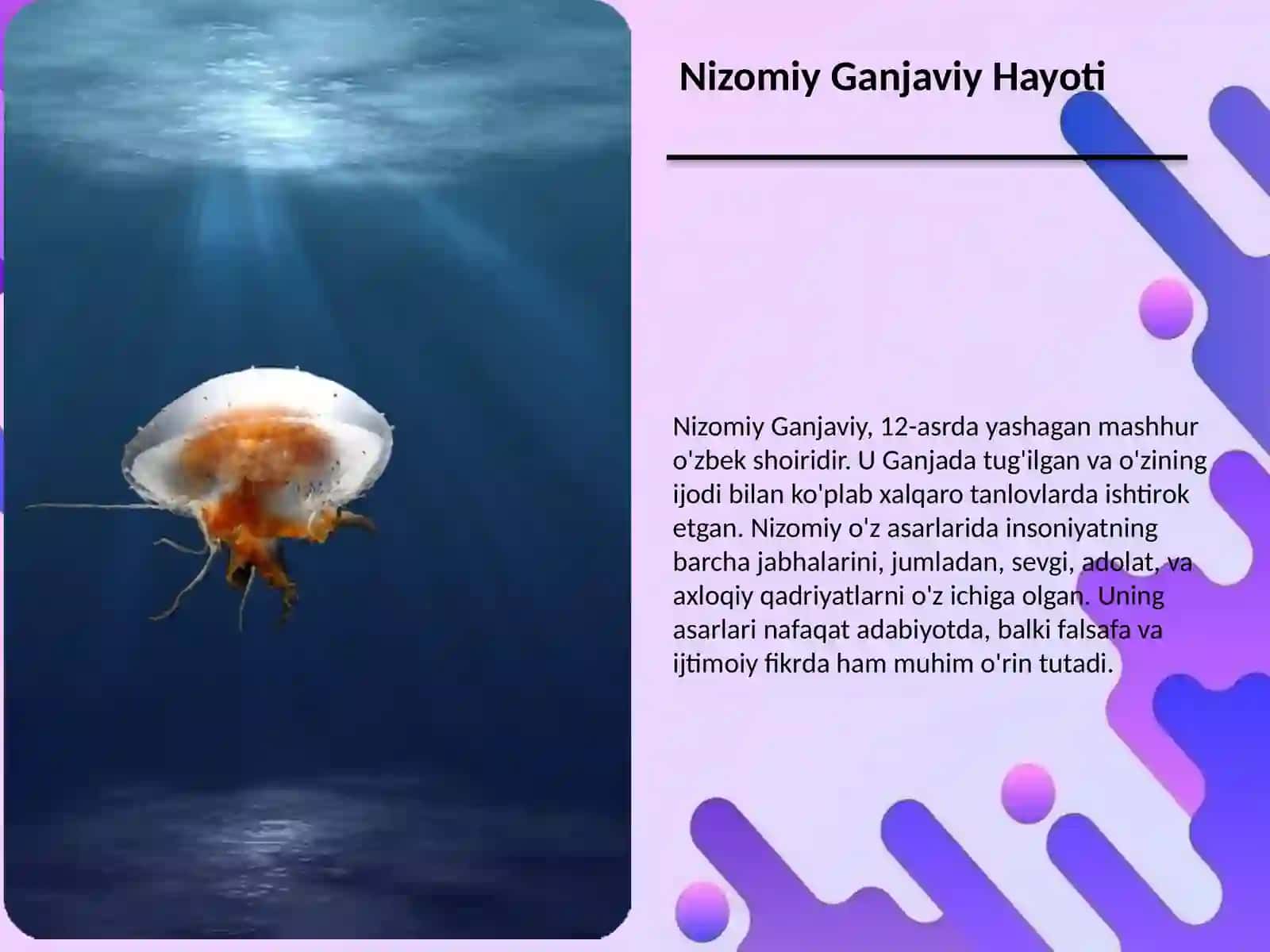 Nizomiy Ganjaviy Hayoti 2