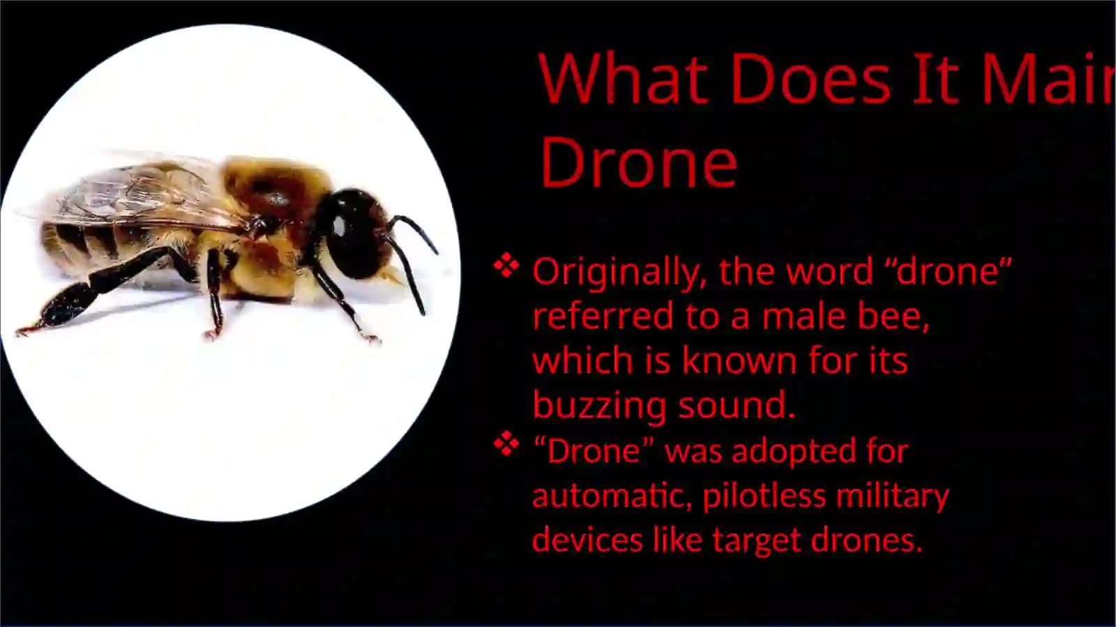 dronlar haqida slide 2