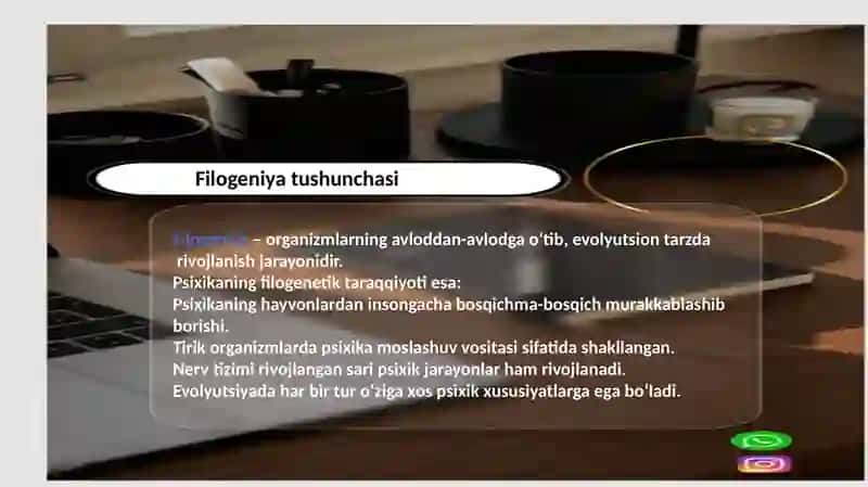 Psixikaning filogenetik taraqqiyoti 2