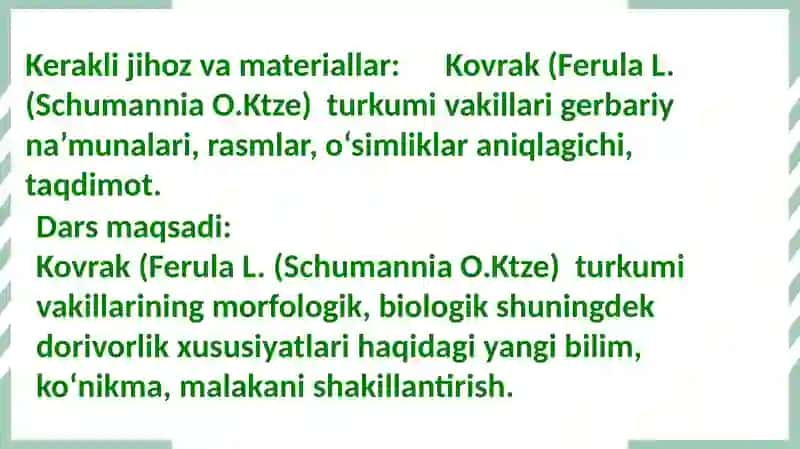 Kovrak (Ferula L. (Schumannia O.Ktze) 2