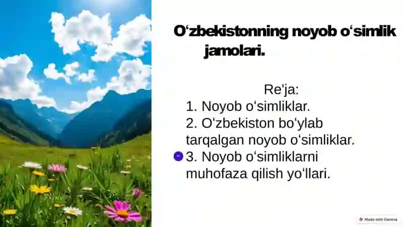 Biologiya yoʻnalishi 2