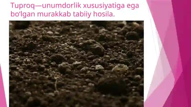 Тuproq Haqida Tushuncha 2