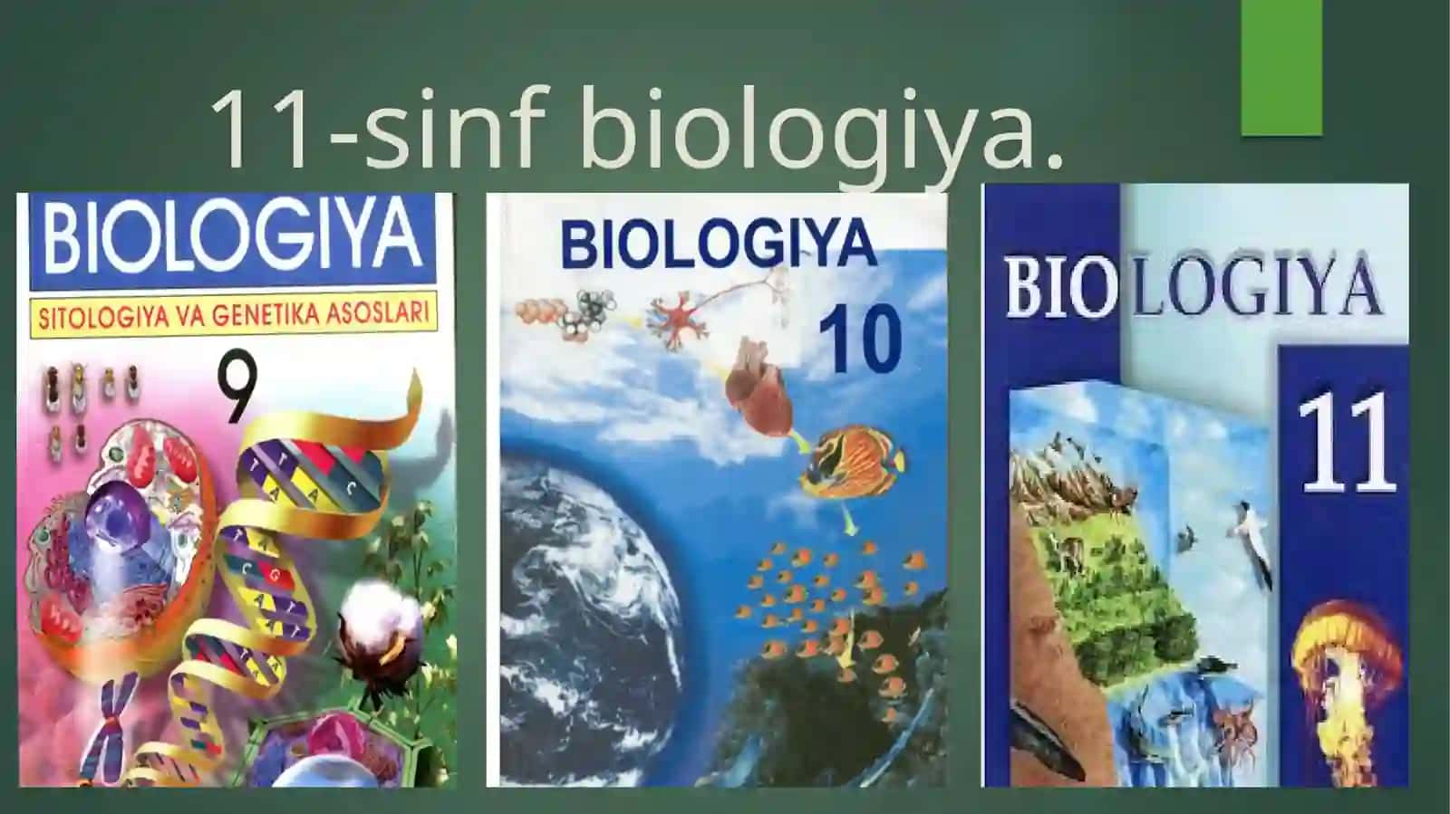Biologiya DTS, 11-sinf 2