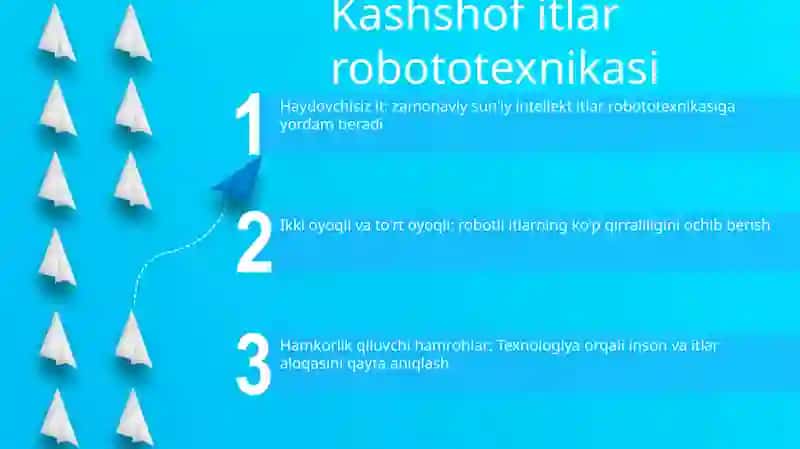 Kashshof itlar robototexnikasi 2