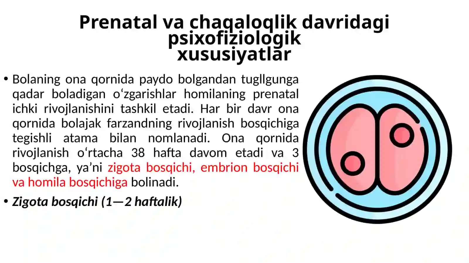 Bola psixik rivojlanishni davrlashtirilishi(Go’daklik davri va ilk bolalik davri) 2