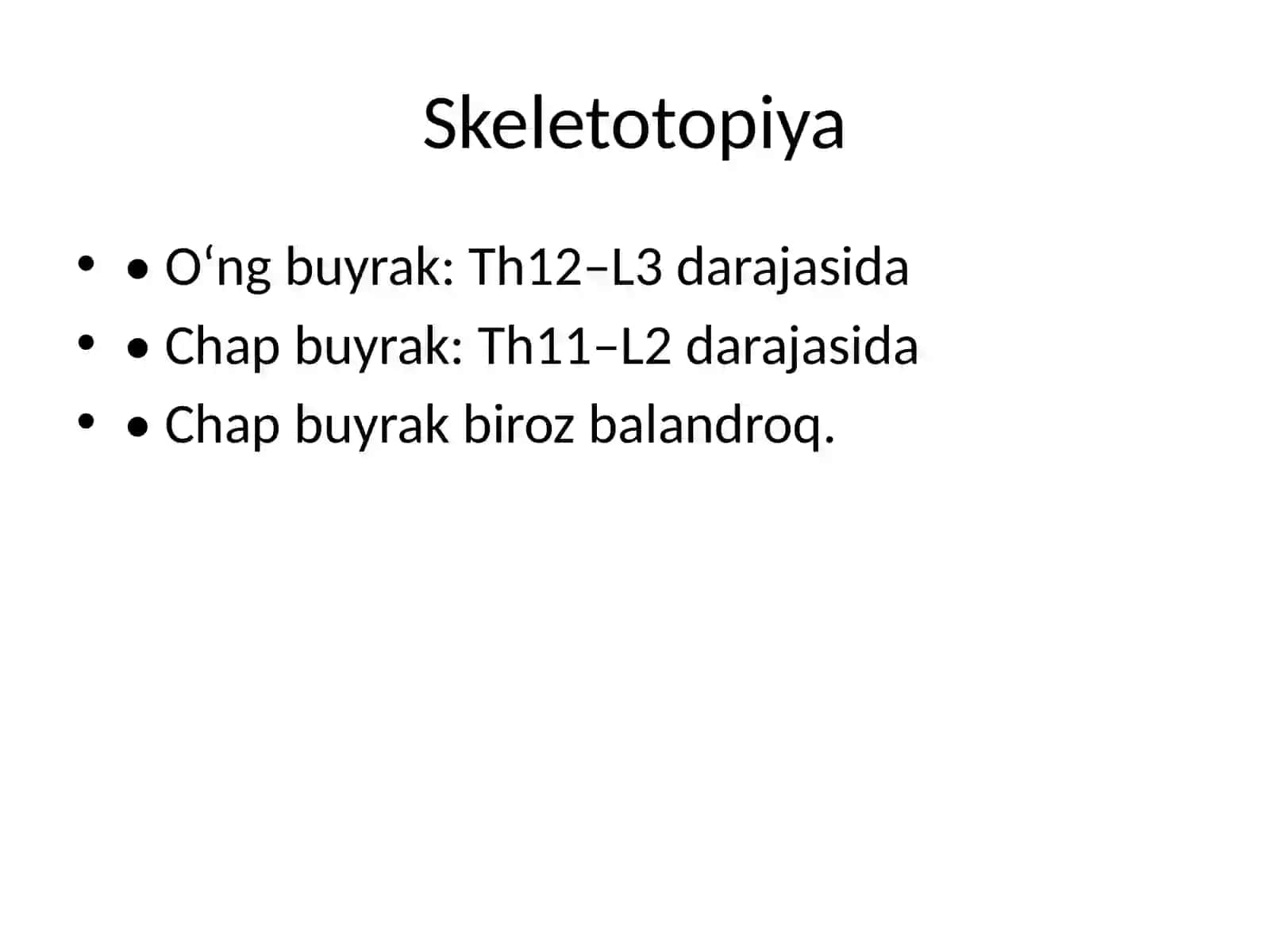 Buyraklarning Topografik Anatomiyasi 2