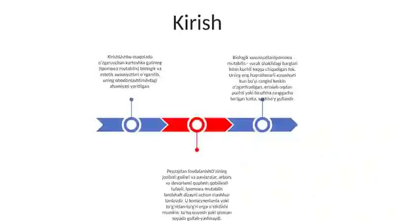 OʻZgaruvchan Kartoshka Guli 2