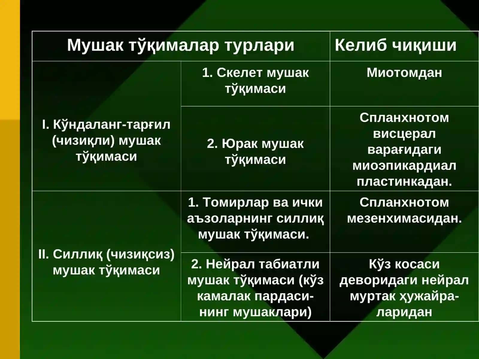 МУШАКВА НЕРВТЎҚИМАСИ 2