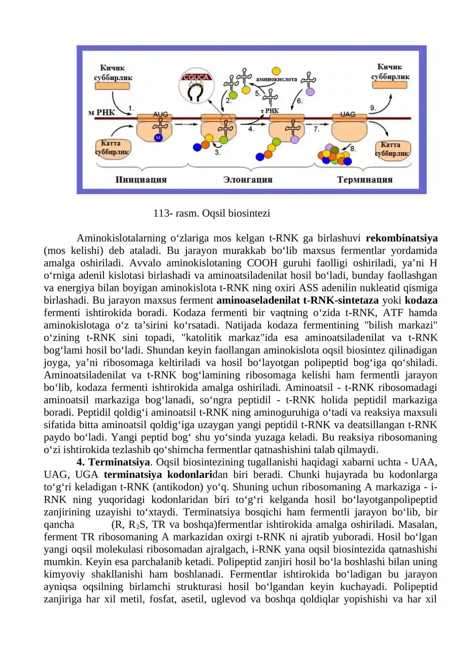 OQSIL BIOSINTEZI 2