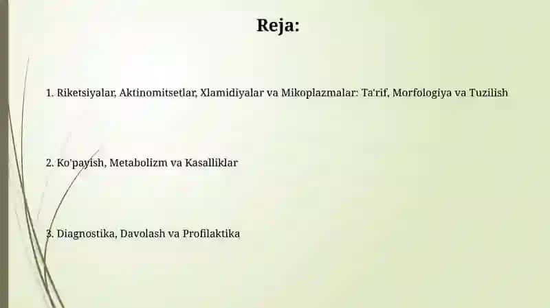 Bakteriyalarning morfologiyasi 2