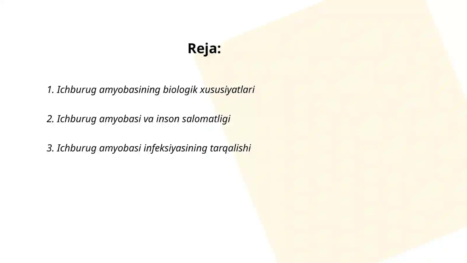 Ichburug amyobasi 2