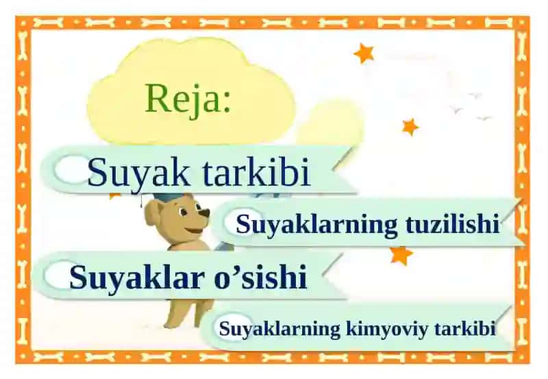 Suyaklarning tuzilishi va o’sishi 2