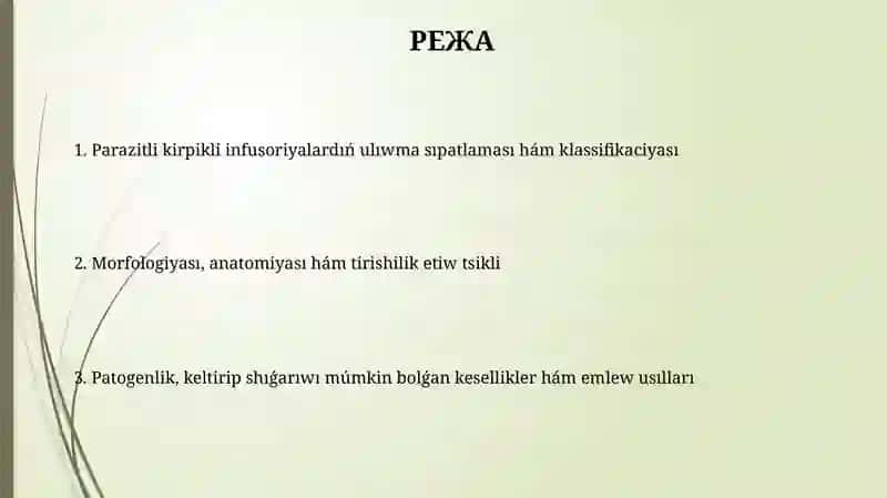 Parazit kirpikli infuzorialar 2