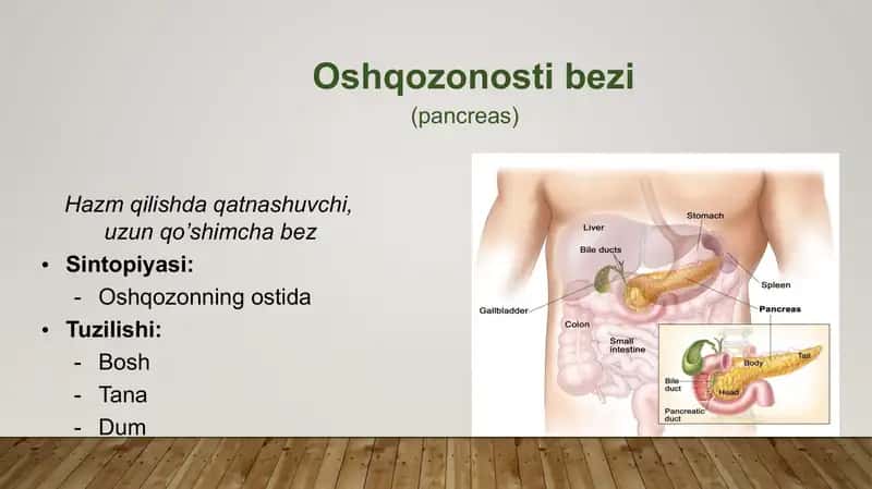 Pankreatik sekretsiya 2