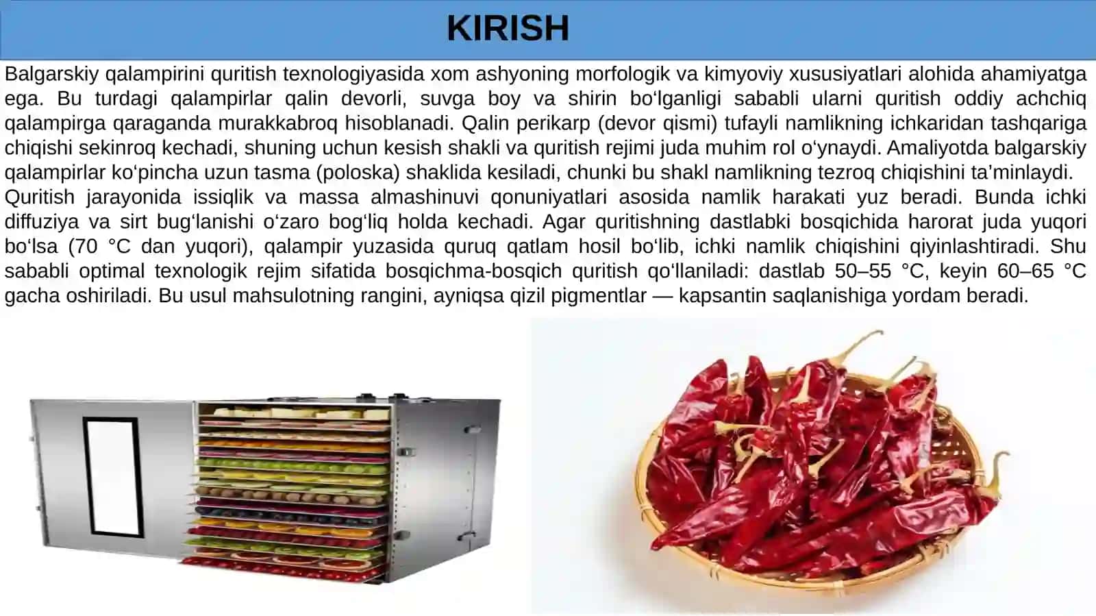 Bulgʻor qalampiri quritish texnalogiyasi 2