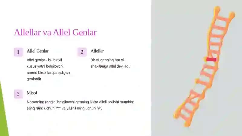 Mendel Genetikasi 2