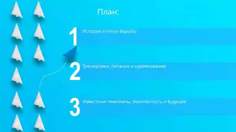 История и стили борьбы 2
