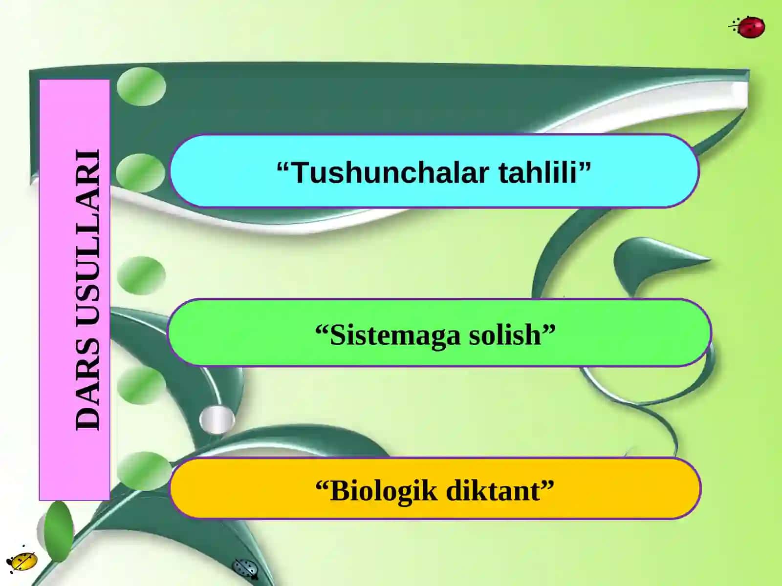 Yassi chuvalchanglar tipi:Kiprikli chuvalchanglar sinfi 2
