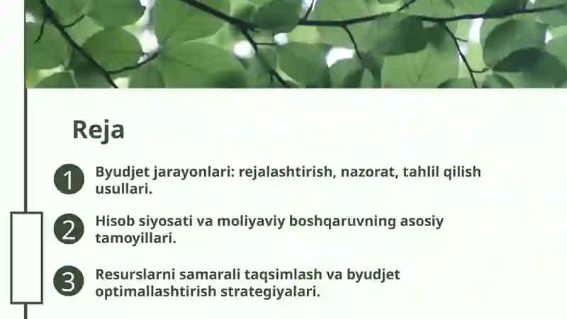 Byudjet tashkilotlarida byudjet hisobining tashkiliy uslubiy jihatlari 2