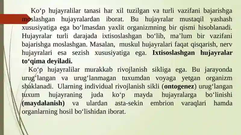 Ko‘p hujayralilar 2