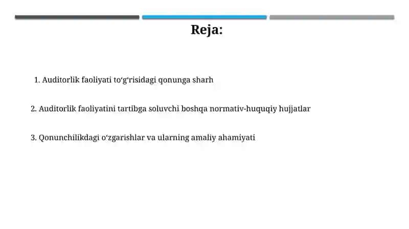 Auditorlik faoliyati to'g'risidagi qonun va uning ahamiyati 2