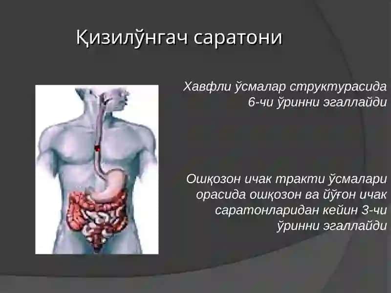 Қизилўнгач саратони 2