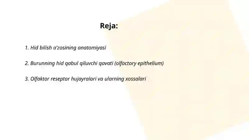 Hid bilish a'zosining anatomiyasi 2