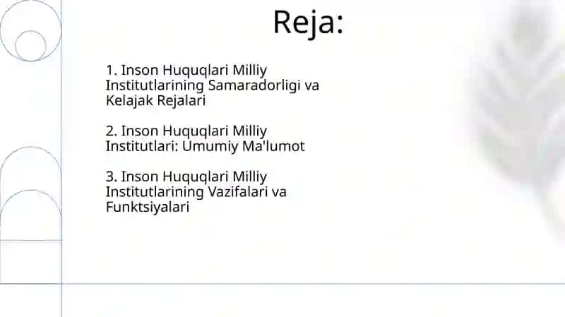 Inson huquqlari bo'yicha milliy institutlar 2