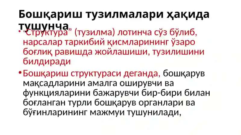 Менежментнинг ташкилий тузилмаси 2