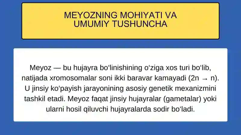 MEYOZ BO‘LINISHNING BIOLOGIK AHAMIYATI 2