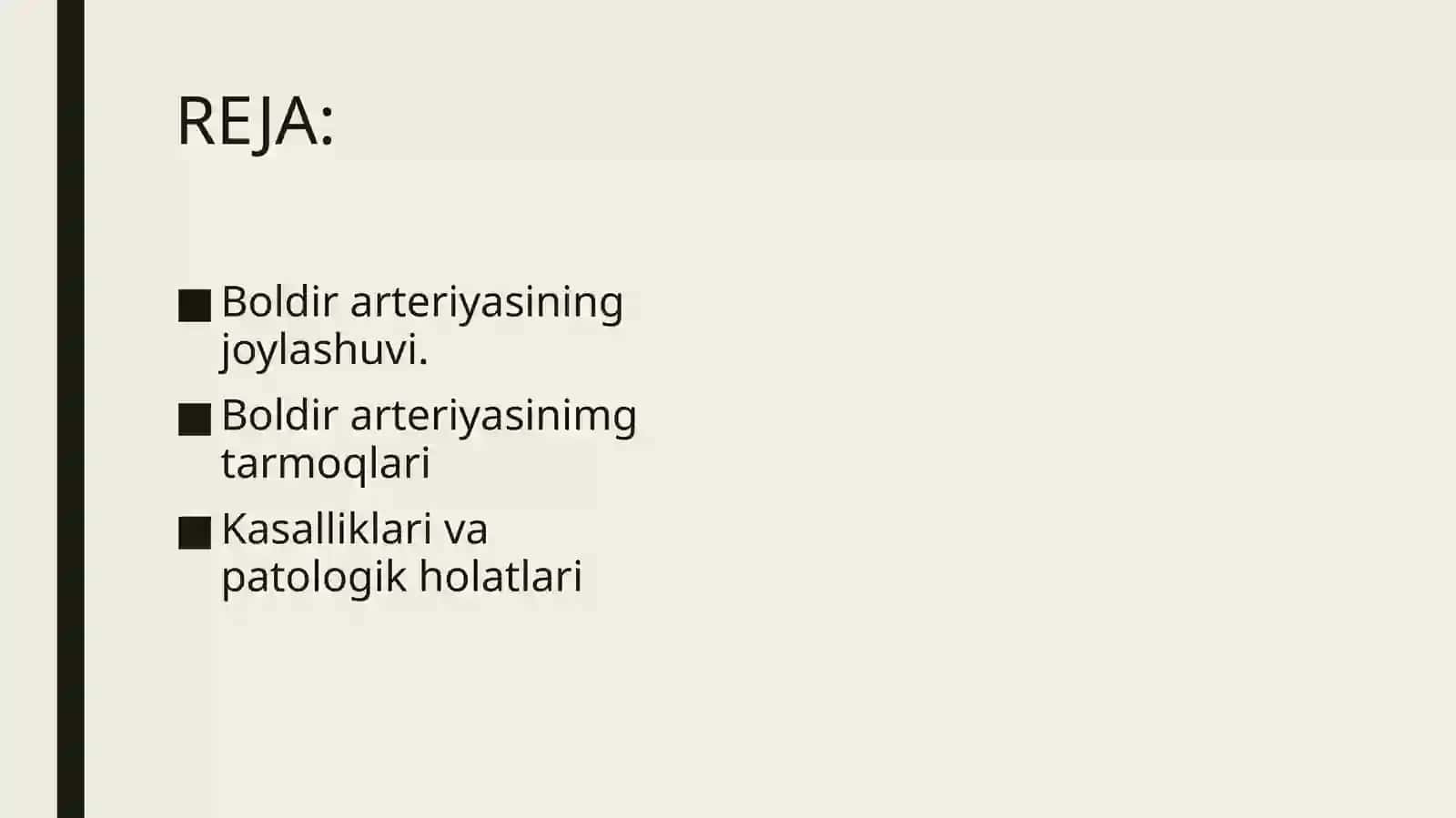 Katta boldir arteriyasi 2