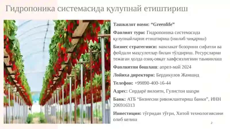 GREENLIFE 2