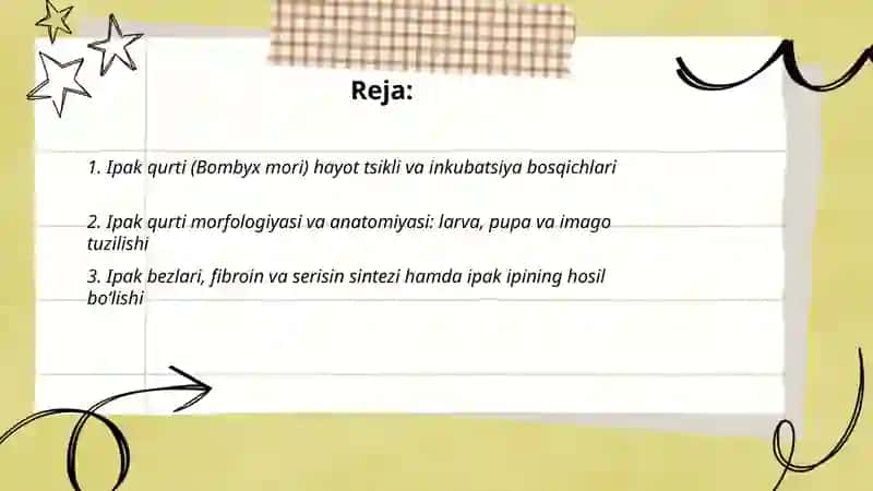 Ipak qurti biologiyasi 2