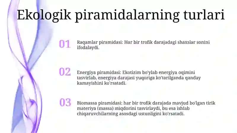 Ekologik Piramida Va Shaharlarning Muammolari 2