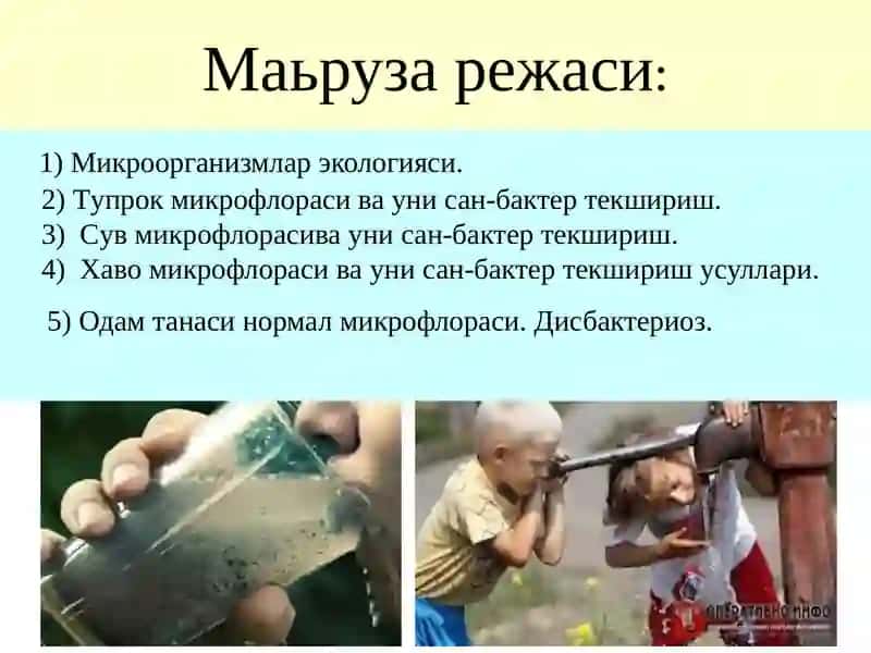 Микроорганизмлар экологияси 2