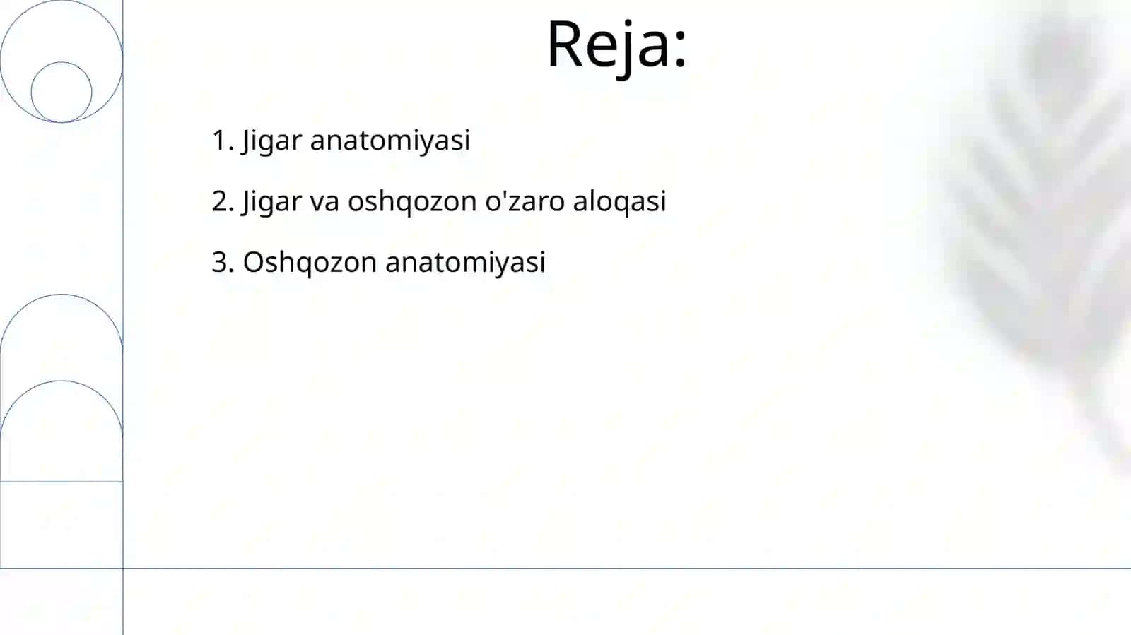 Jigar va oshqozon anatomiyasi 2
