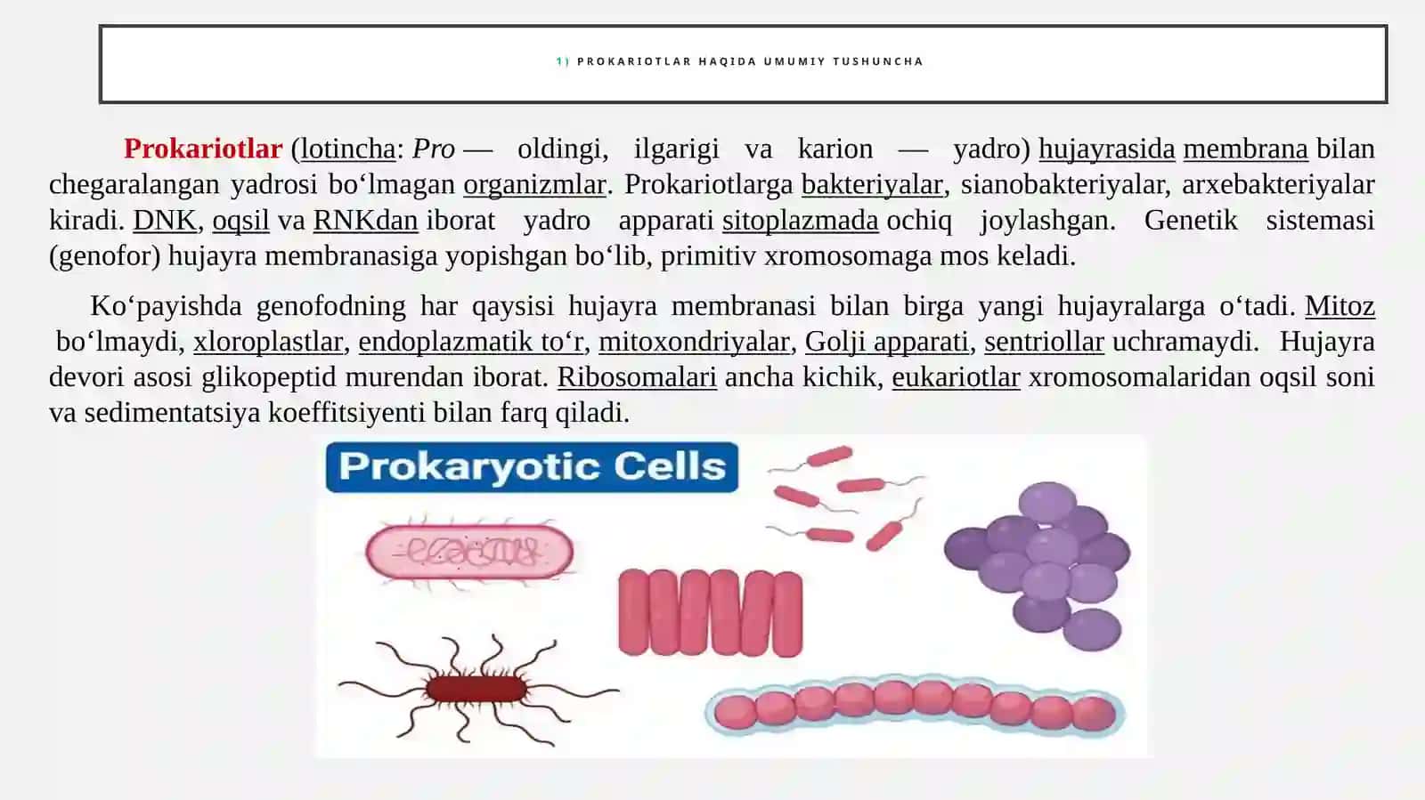 Prokariotlarsistematikasi 2