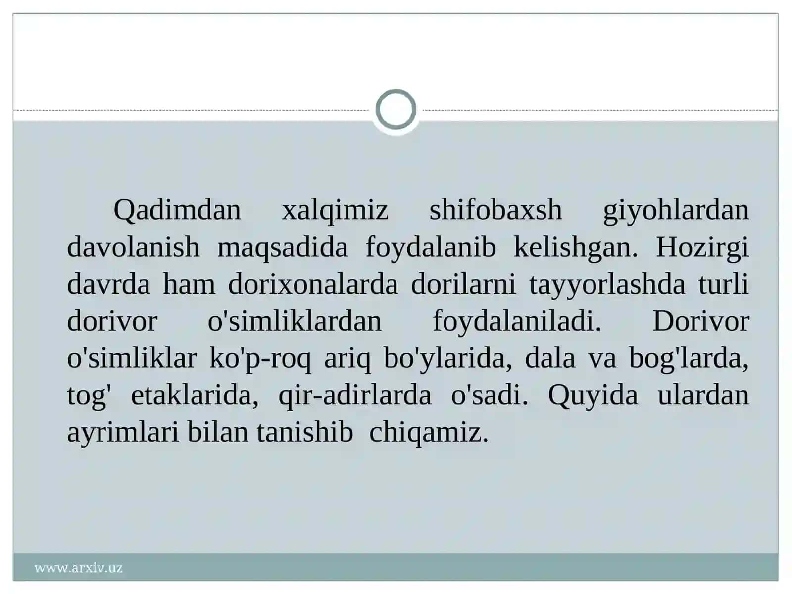 Yalpiz 2