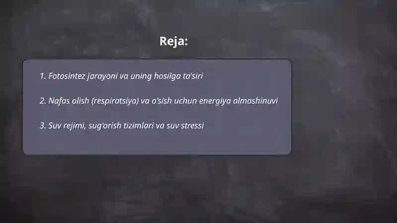 Fotosintez jarayoni va uning hosilga ta'siri 2