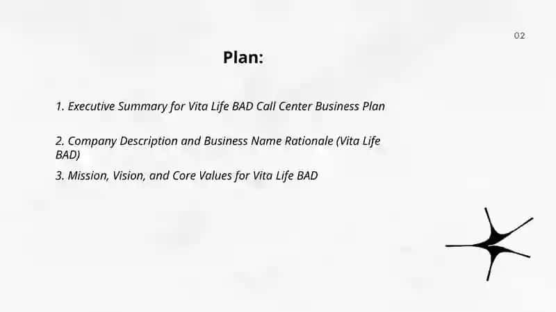 Vita Life BAD Call Center Business Plan 2