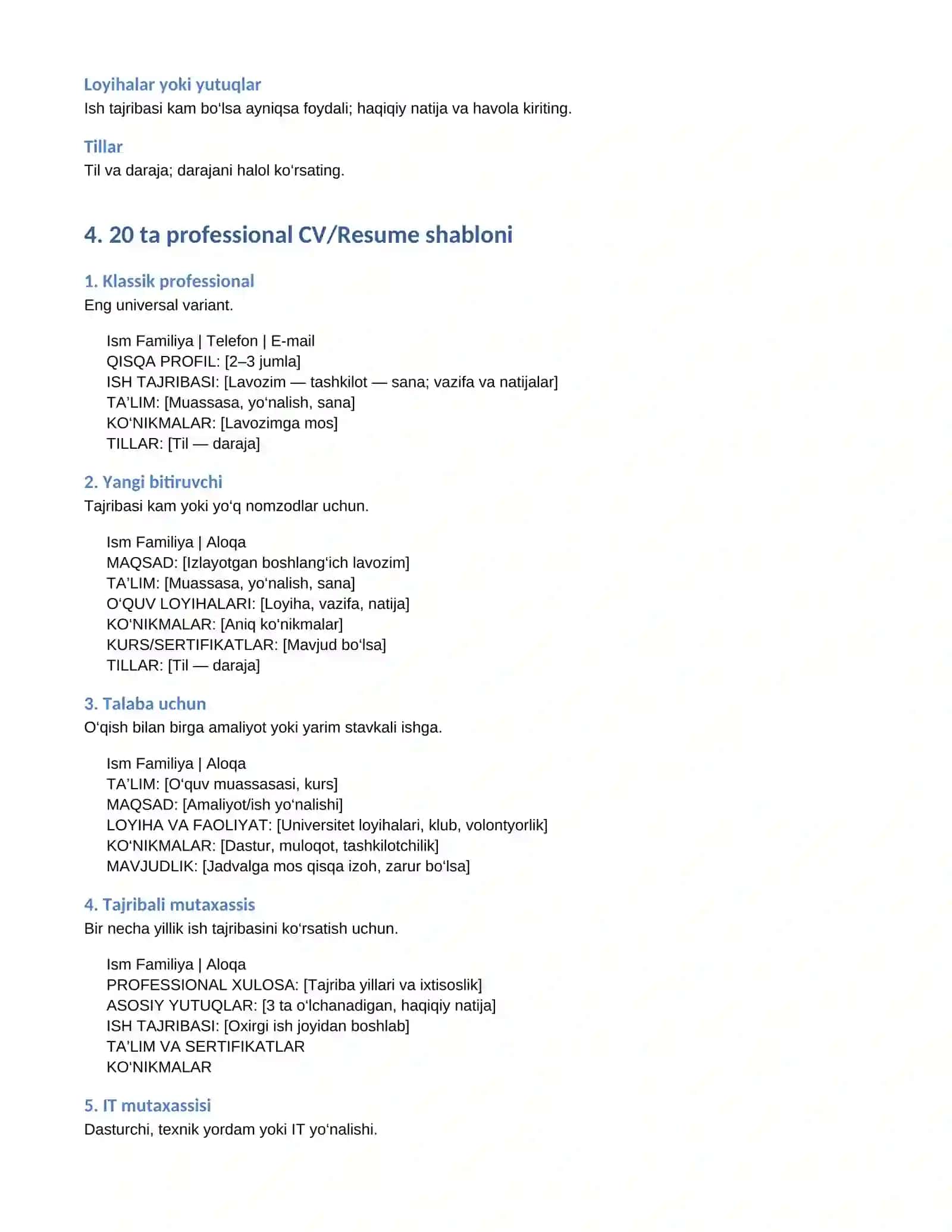 CV / RESUME 20 ta professional shablon 2
